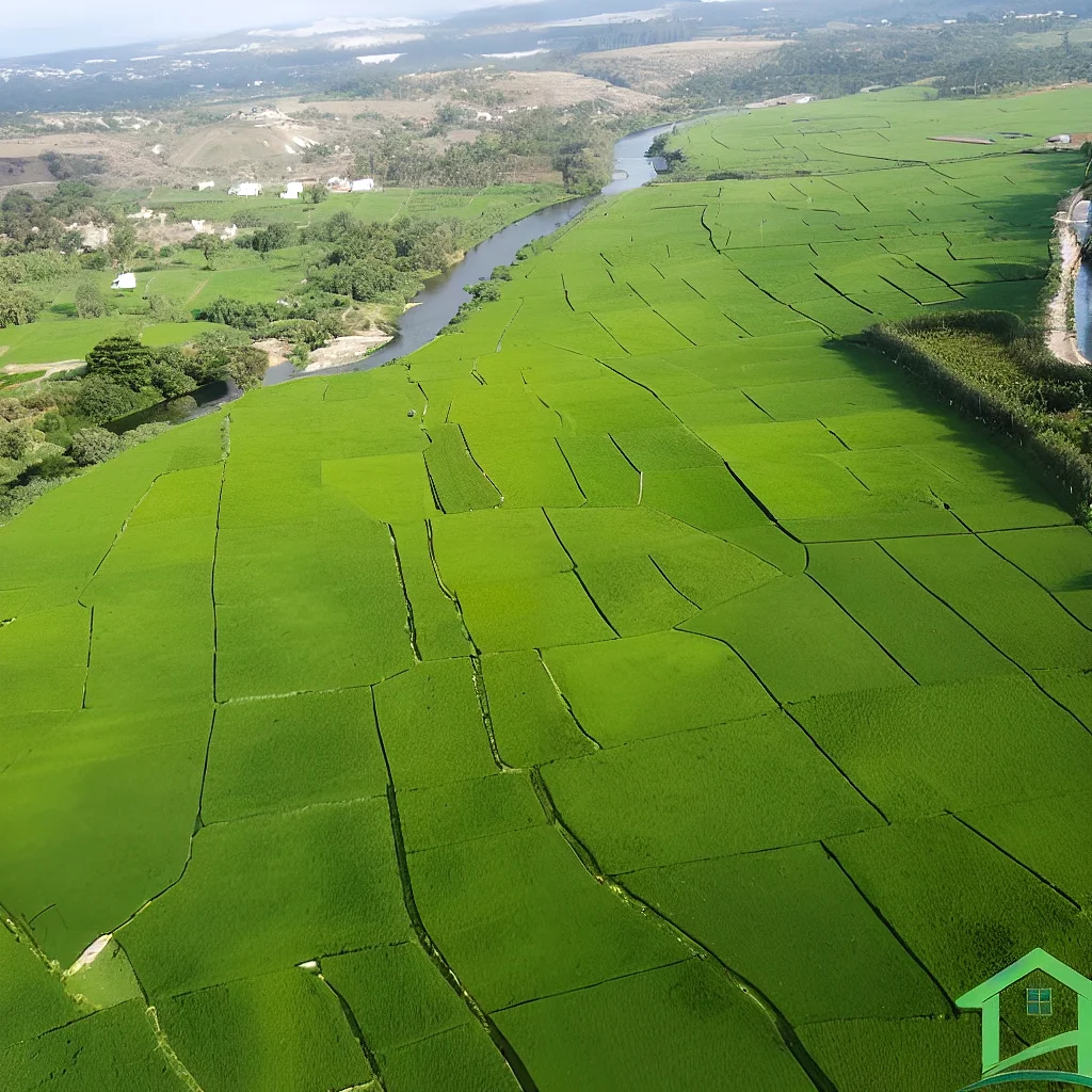 Premium land sales by PVS Promoters